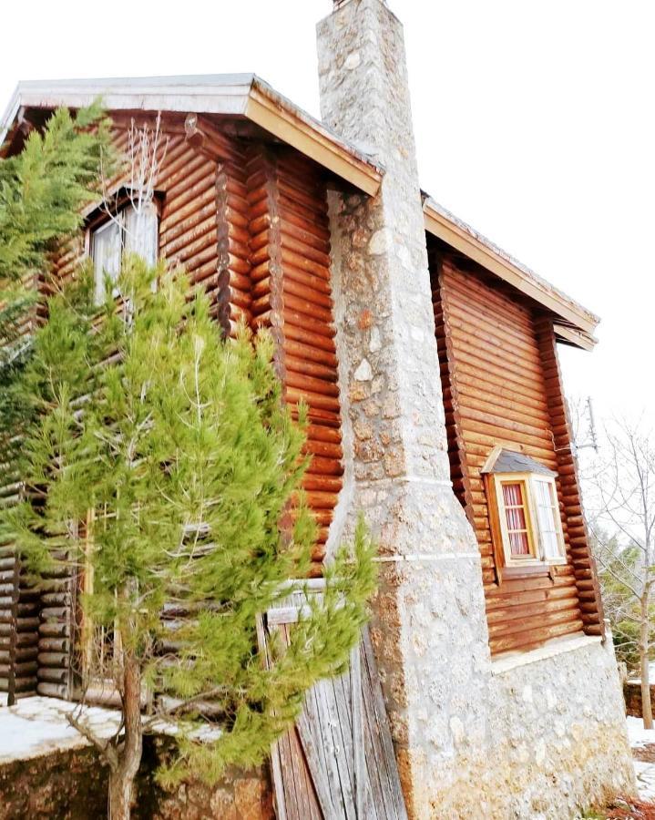 Paradise Chalet Ano Trikala Zewnętrze zdjęcie