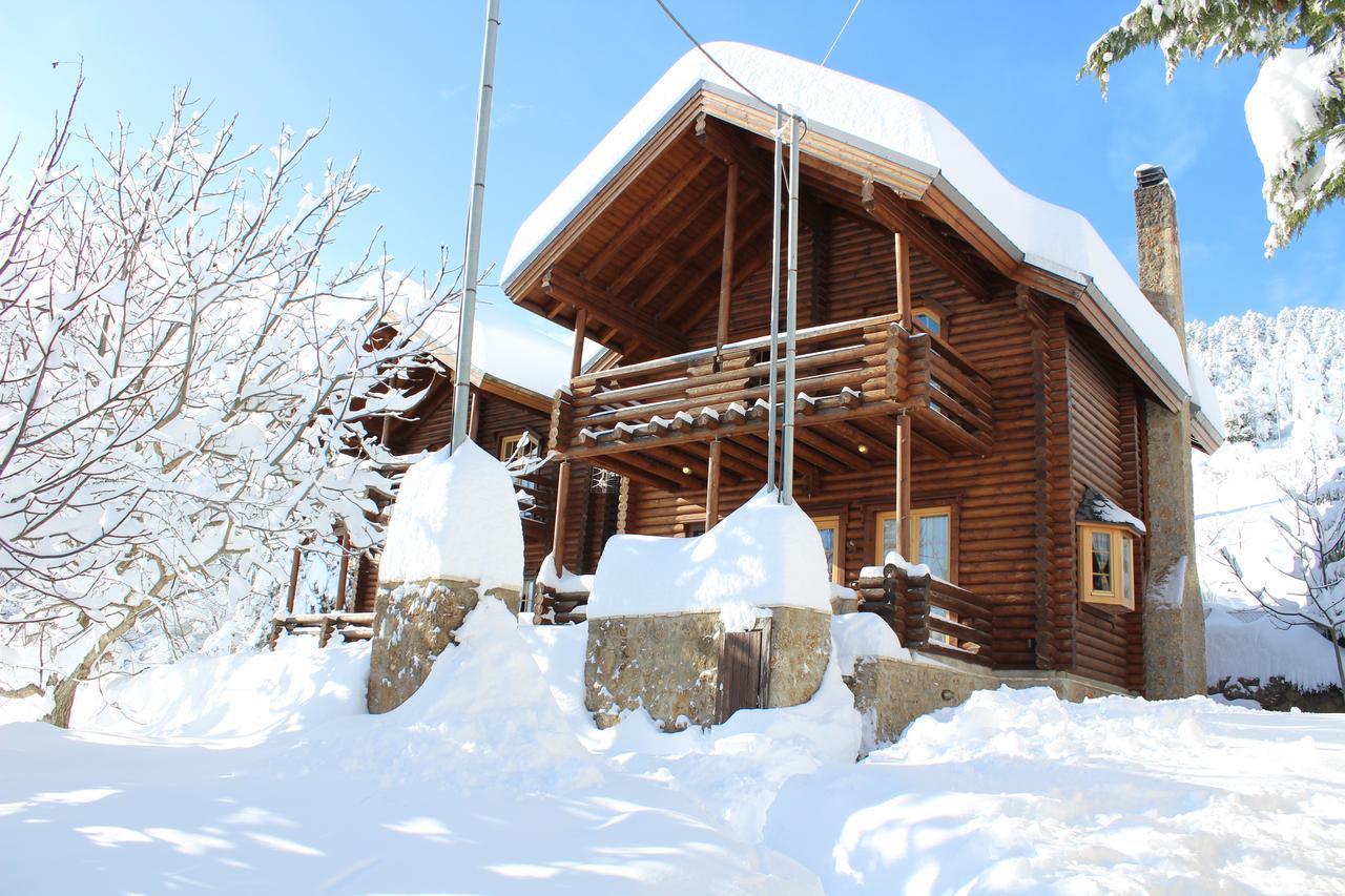 Paradise Chalet Ano Trikala Zewnętrze zdjęcie