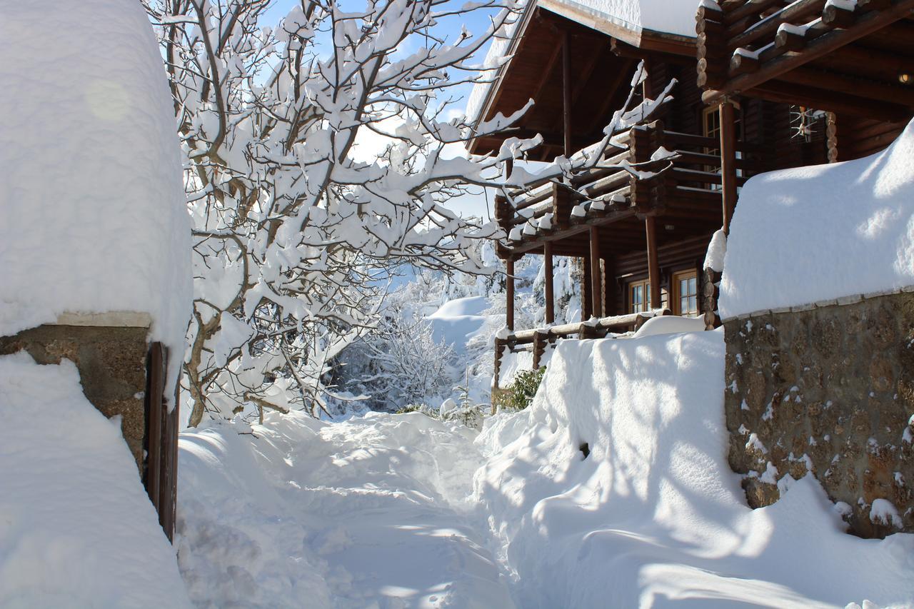 Paradise Chalet Ano Trikala Zewnętrze zdjęcie